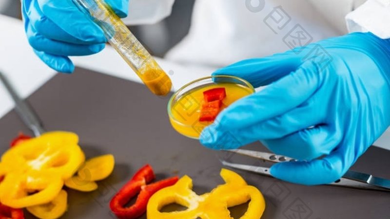 蜜饯果脯加盟代理：揭秘费用构成与避坑指南